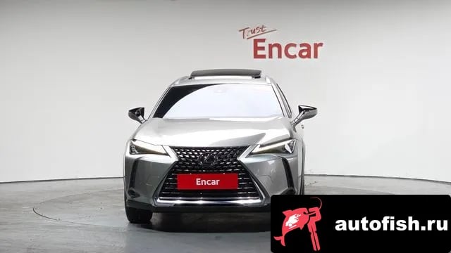 Lexus UX UX250h 2024 года - вид 2