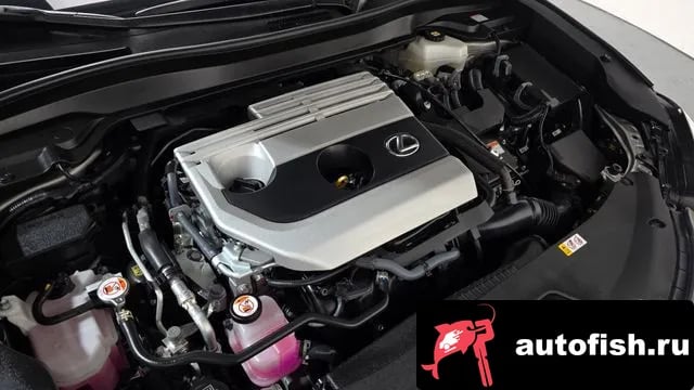 Lexus UX UX250h 2024 года - вид 5