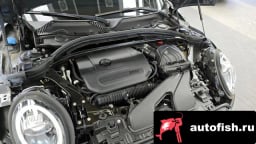 Миниатюра 6