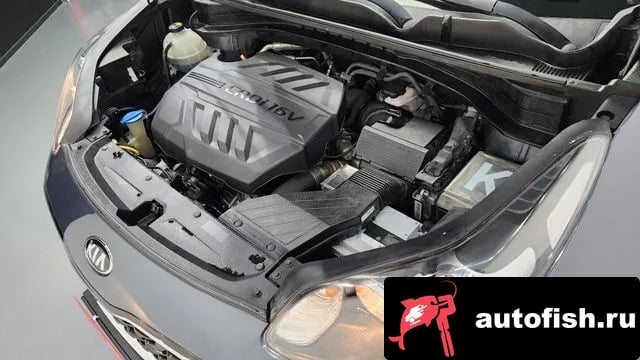 Kia Sportage Sportage The Bold 2018 года - вид 6