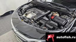 Миниатюра 6