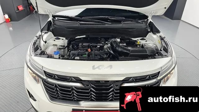 Kia Seltos The New Celtos 2024 года - вид 6