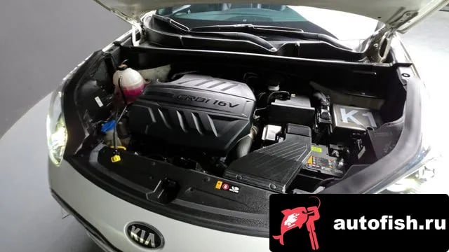 Kia Sportage Sportage The Bold 2020 года - вид 6