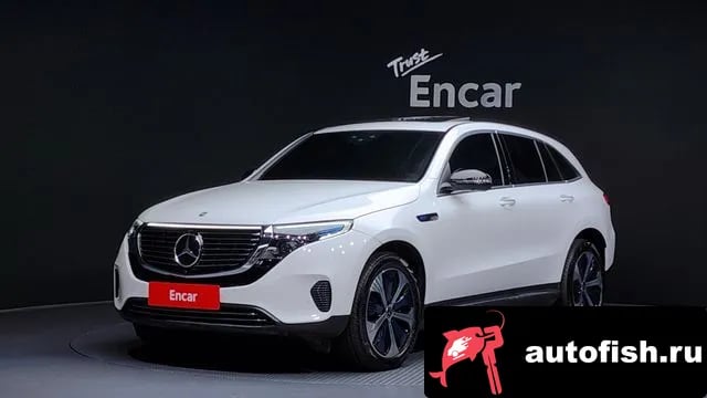 Mercedes-Benz EQC EQC N293 2020 года - вид 1