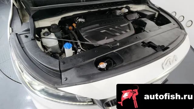 Kia Carnival The New Carnival 2018 года - вид 6