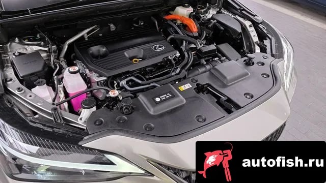 Lexus NX NX350h Second generation 2025 года - вид 6