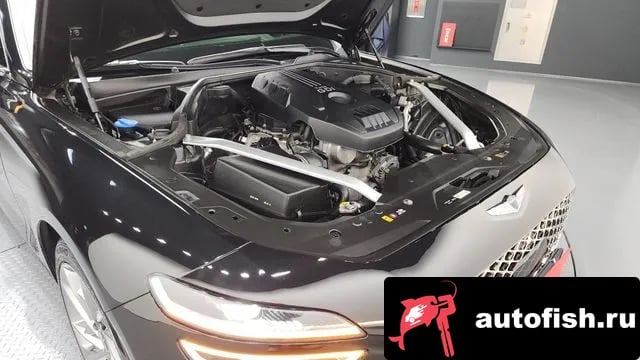 Genesis G70 The New G70 Shooting Break 2022 года - вид 6