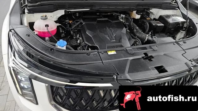 Kia Carnival The New Carnival 4th Generation 2024 года - вид 6