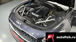 Миниатюра 6