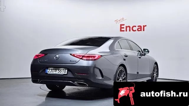 Mercedes-Benz CLS-Class CLS-Class C257 2019 года - вид 2