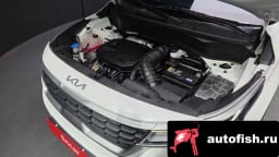 Миниатюра 6