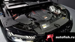 Миниатюра 6