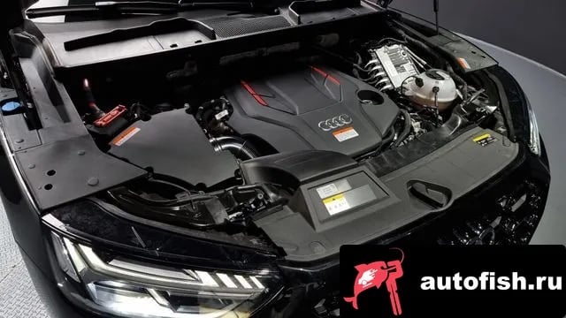 Audi SQ5 SQ5 (FY) 2023 года - вид 6