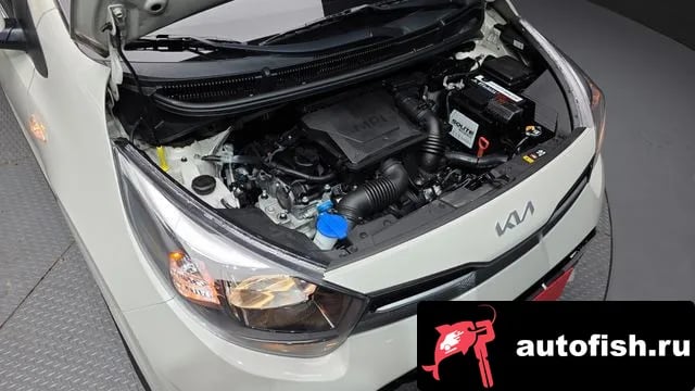 Kia morning Morning Urban (JA) 2022 года - вид 6