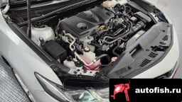 Миниатюра 6