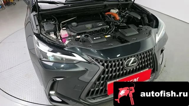 Lexus NX NX350h Second generation 2022 года - вид 6