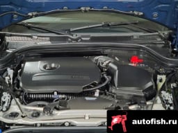 Миниатюра 6