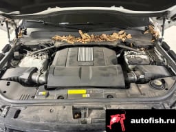 Миниатюра 5