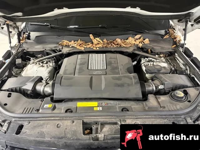 Land Rover Range Rover Range Rover 4th Generation 2022 года - вид 5