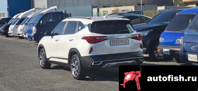 Kia Seltos Celtos 2022 года - вид 5