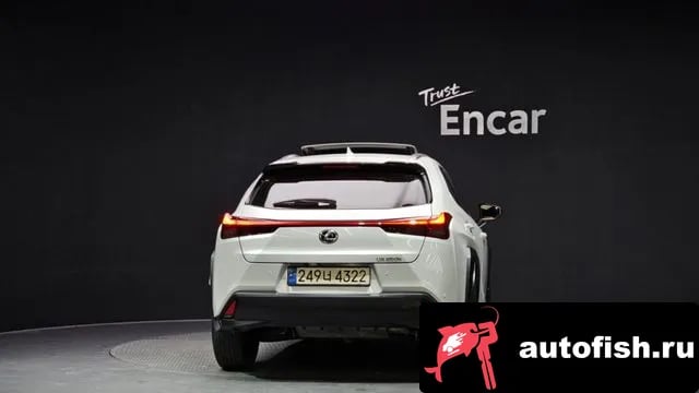 Lexus UX UX250h 2024 года - вид 4