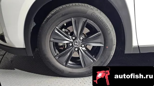 Lexus UX UX250h 2024 года - вид 5