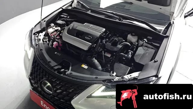 Lexus UX UX250h 2024 года - вид 6