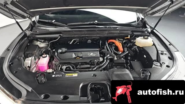 Lexus RX RX350h 5th generation 2024 года - вид 6