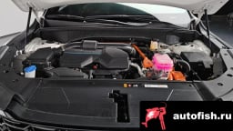 Миниатюра 6