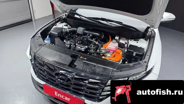 Hyundai Tucson Tucson Hybrid (NX4) 2021 года - вид 6