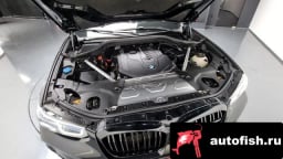 Миниатюра 6