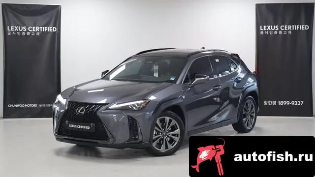 Lexus UX UX300h 2025 года - вид 1