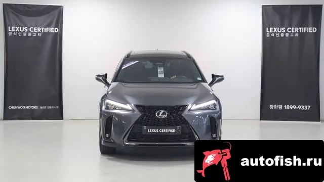 Lexus UX UX300h 2025 года - вид 3