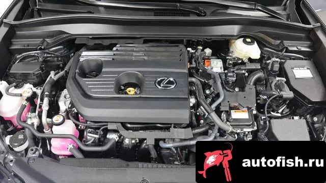 Lexus UX UX300h 2025 года - вид 6