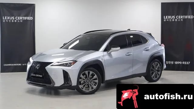 Lexus UX UX300h 2025 года - вид 1