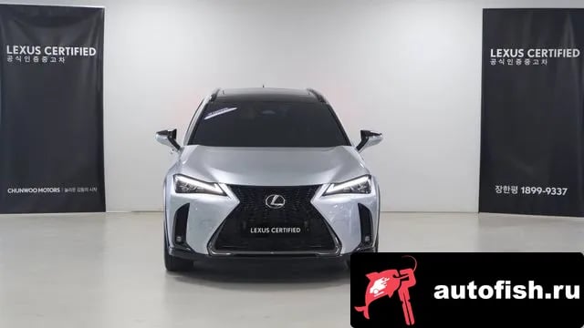 Lexus UX UX300h 2025 года - вид 3