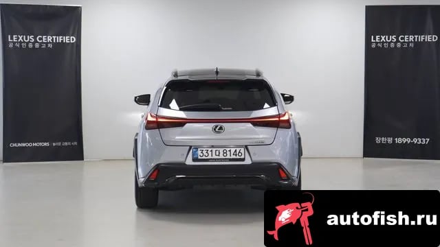 Lexus UX UX300h 2025 года - вид 4