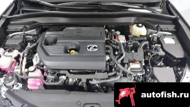 Lexus UX UX300h 2025 года - похожие автомобили