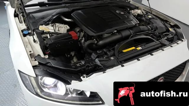 Jaguar XF XF (X260) 2018 года - вид 6