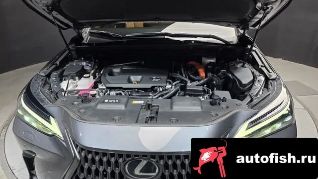 Lexus NX NX350h Second generation 2023 года - вид 6