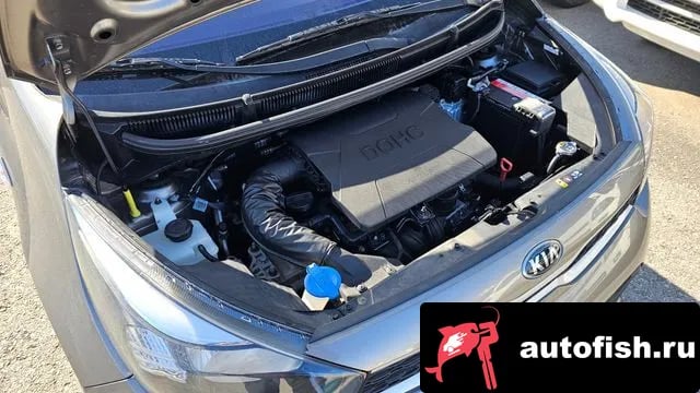 Kia morning All New Morning (JA) 2019 года - вид 6