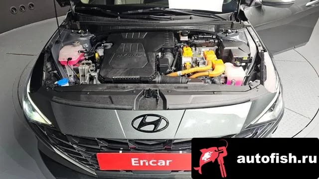 Hyundai AVANTE Avante Hybrid (CN7) 2021 года - вид 6