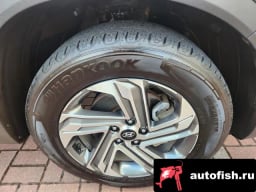 Миниатюра 6