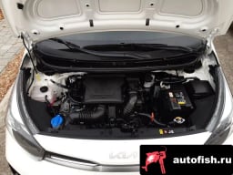 Миниатюра 6