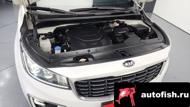 Kia Carnival The New Carnival 2019 года - вид 6