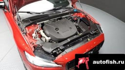 Миниатюра 6