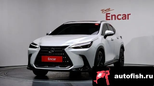 Lexus NX NX350h Second generation 2024 года - автомобиль из Южной Кореи