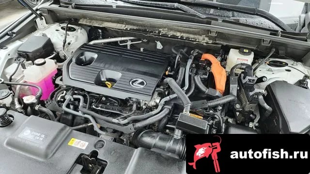 Lexus NX NX350h Second generation 2024 года - вид 6