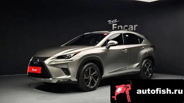 Lexus NX NX300h 2021 года - вид 1