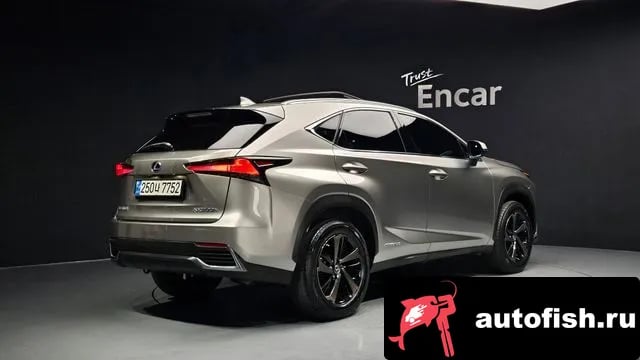 Lexus NX NX300h 2021 года - вид 2